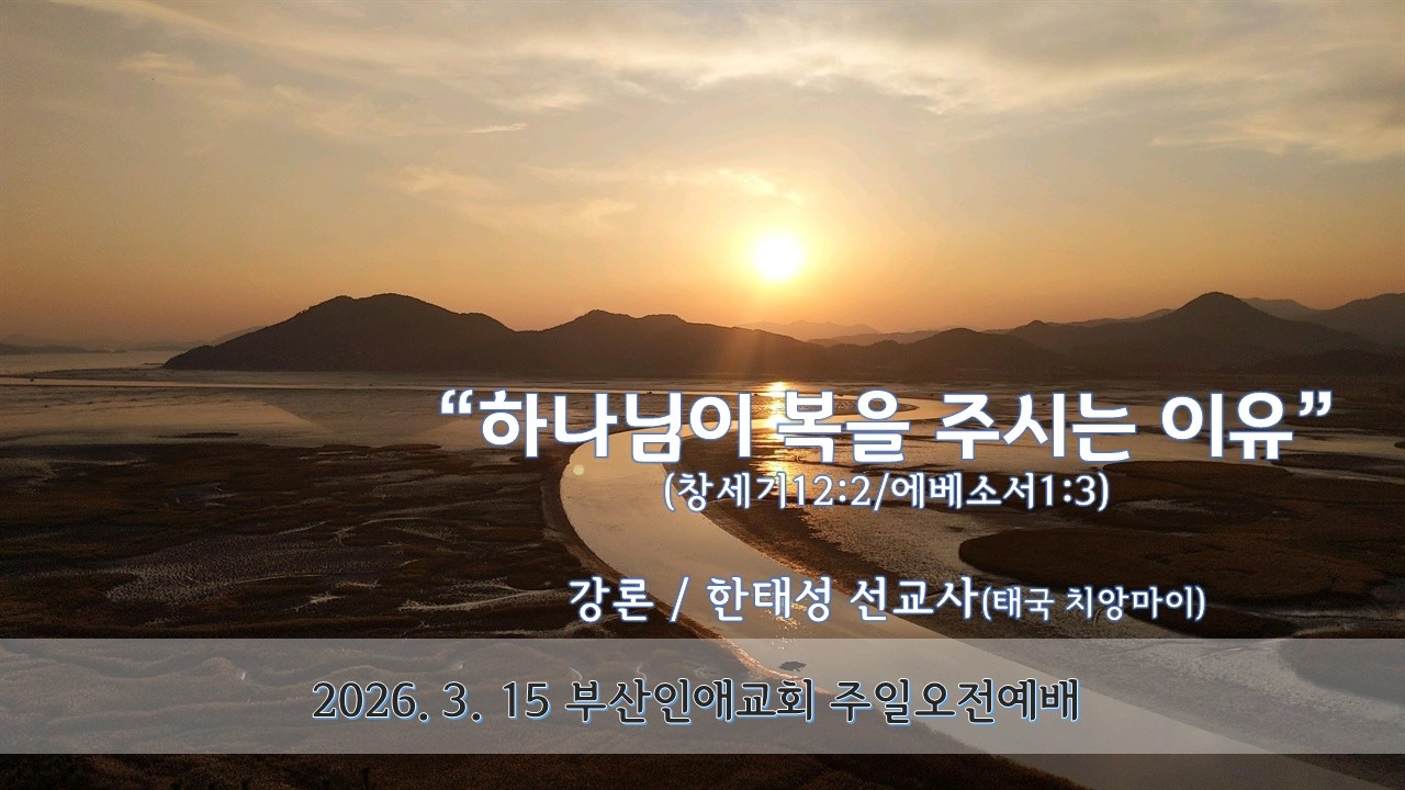 2026년 3월15일 부산인애교회 주일 오전 예배  실시간