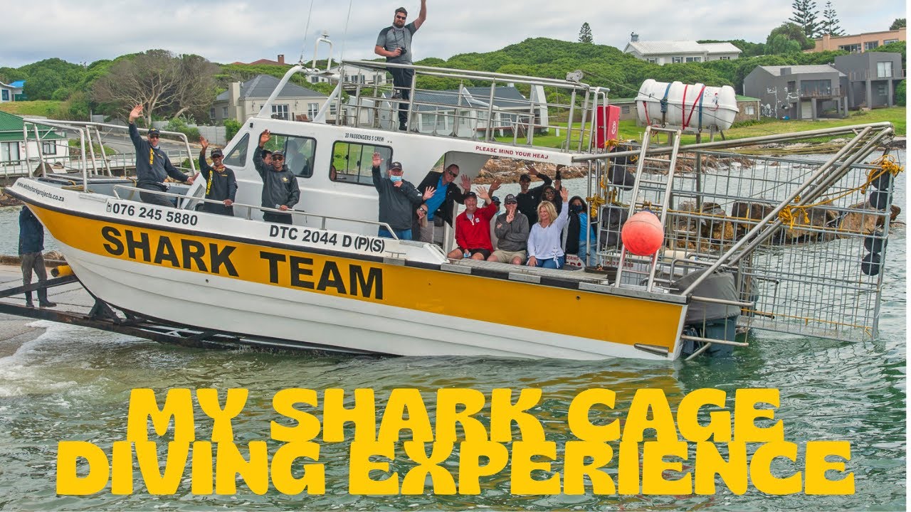 MY SHARK CAGE DIVING EXPERIENCE WITH WHITE SHARK PROJECTS!!