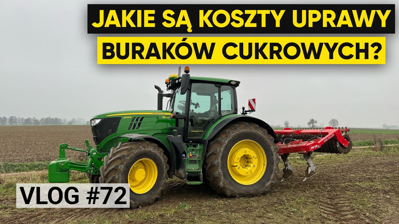OPŁACALNOŚĆ UPRAWY BURAKÓW CUKROWYCH - Jakie poniosłem koszty? | VLOG #72
