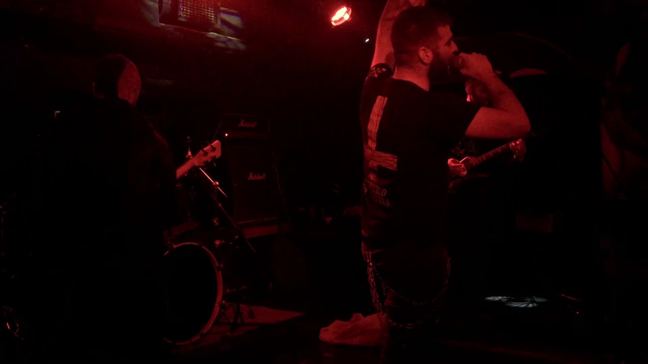 Sordid Dogs  - City Freaks /  Sordid Dogs (Live)