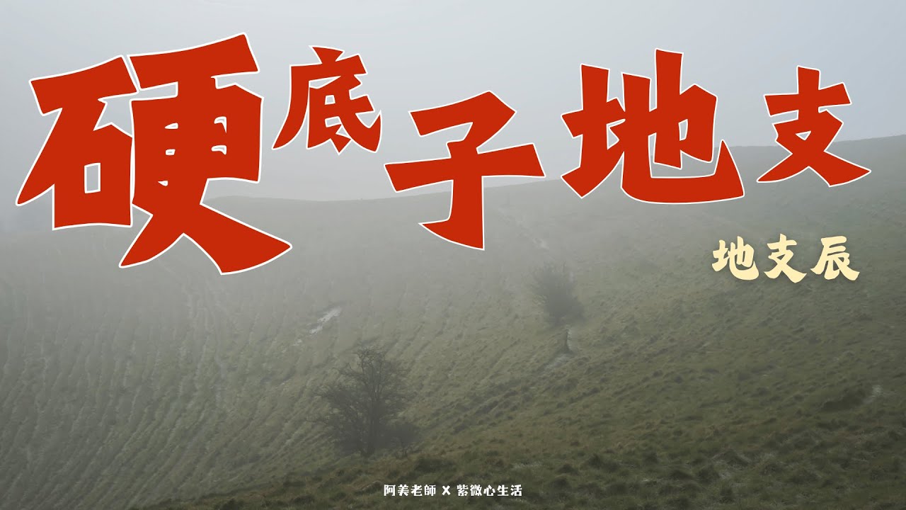 地支的隱藏性格：地支辰，壓力大卻停不下來，從變動中提煉養分的地支辰｜硬底子地支