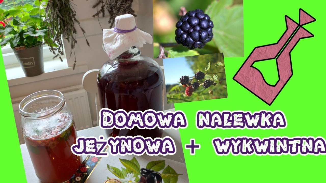 Domowe nalewki krok po kroku/jezynowa i wykwintna