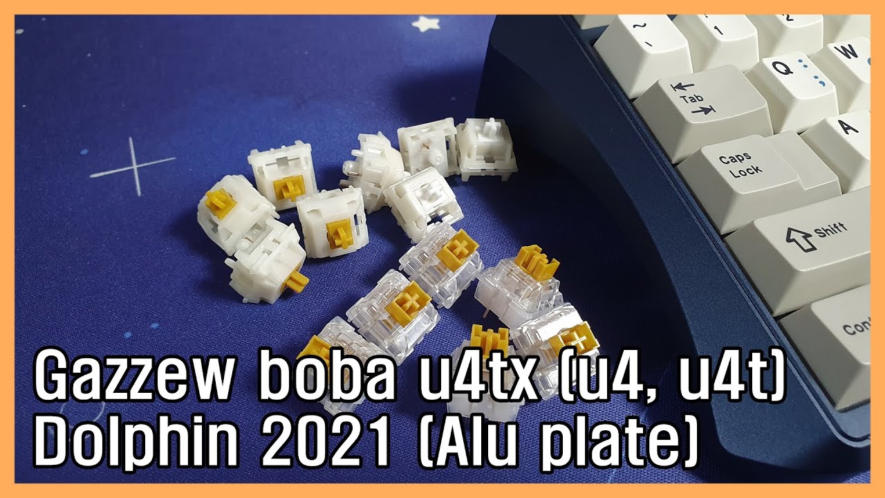 Dolphin 2021 Gazzew u4tx(u4, u4t) / 돌고래 2021 u4tx 스위치(u4, u4t)
