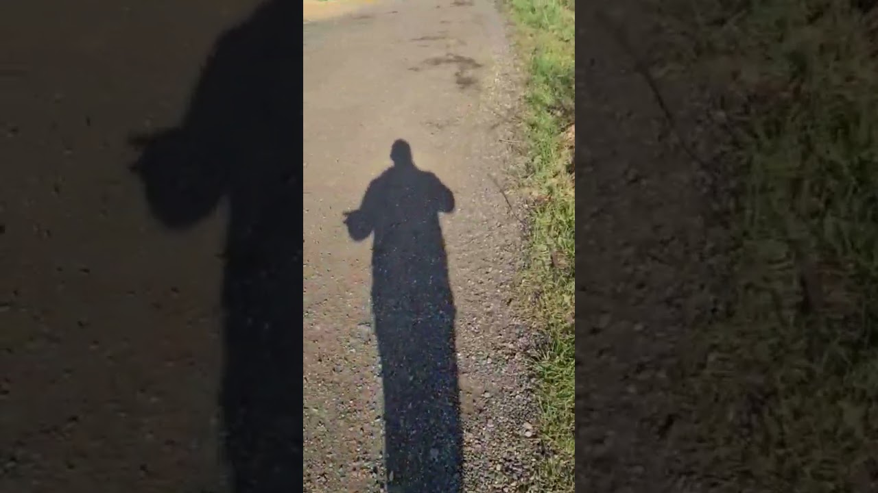 Quie Punk Doherty отвечает Pa Reilly