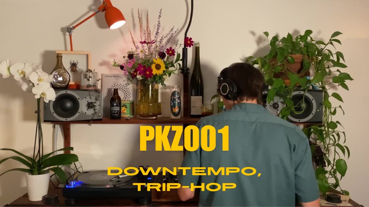 Trip-Hop & Downtempo Vinyl Mix | Late Night Session | Pkz001