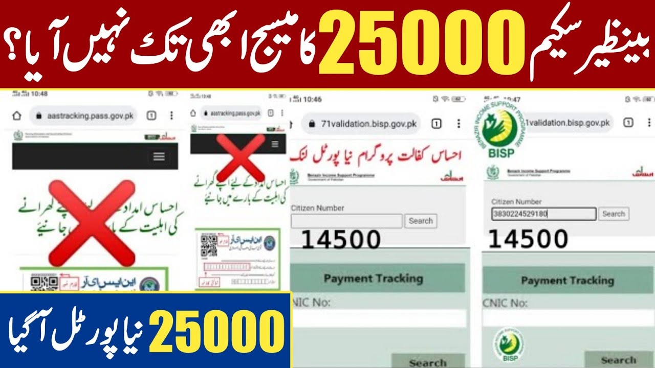 Ehsas Bisp Ke Paise Check Karne Ka Tarika 2022 | Ehsaas Program 25000 New update