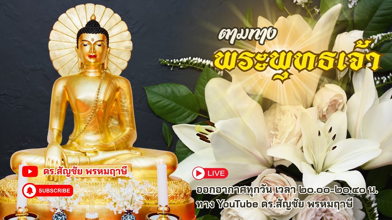 ตามทางพระพุทธเจ้า 11 มีนาคม 2569