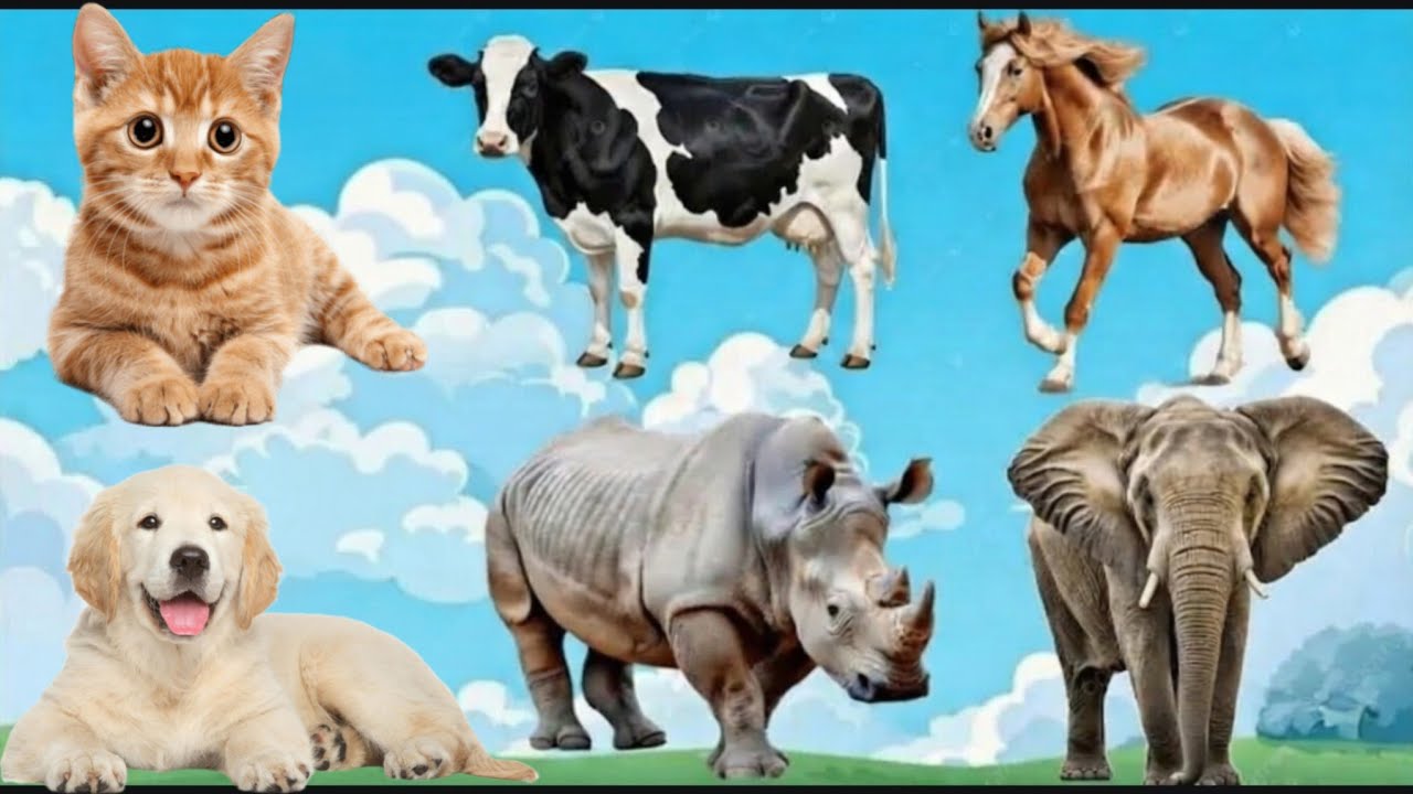 Animals Names For Kids | cartoon animated videos | kids animation song animal namewith sound #जानवर