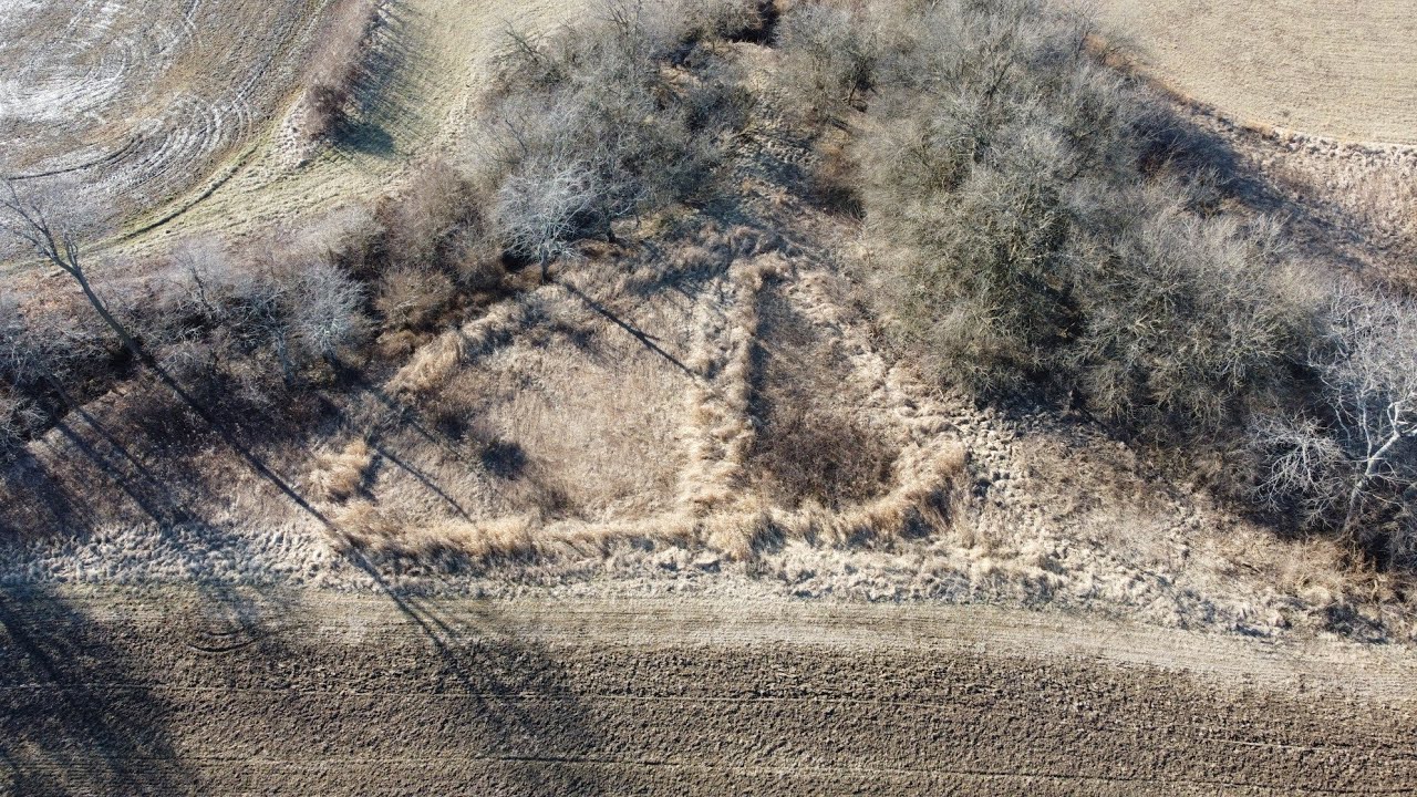 How To Establish A Switchgrass Screen - 2023 Habitat Plans