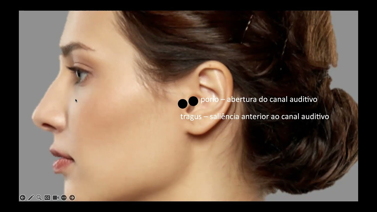 ANÁLISE FACIAL