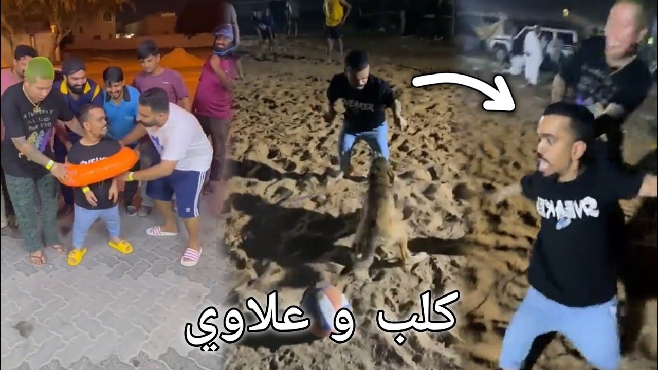 علاوي يخاف من الكلب😂بوشنب تستفيد منه