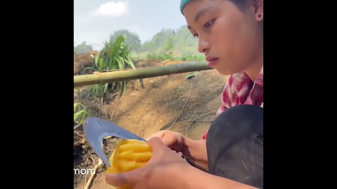 Continuing House Construction in Rain and Wind