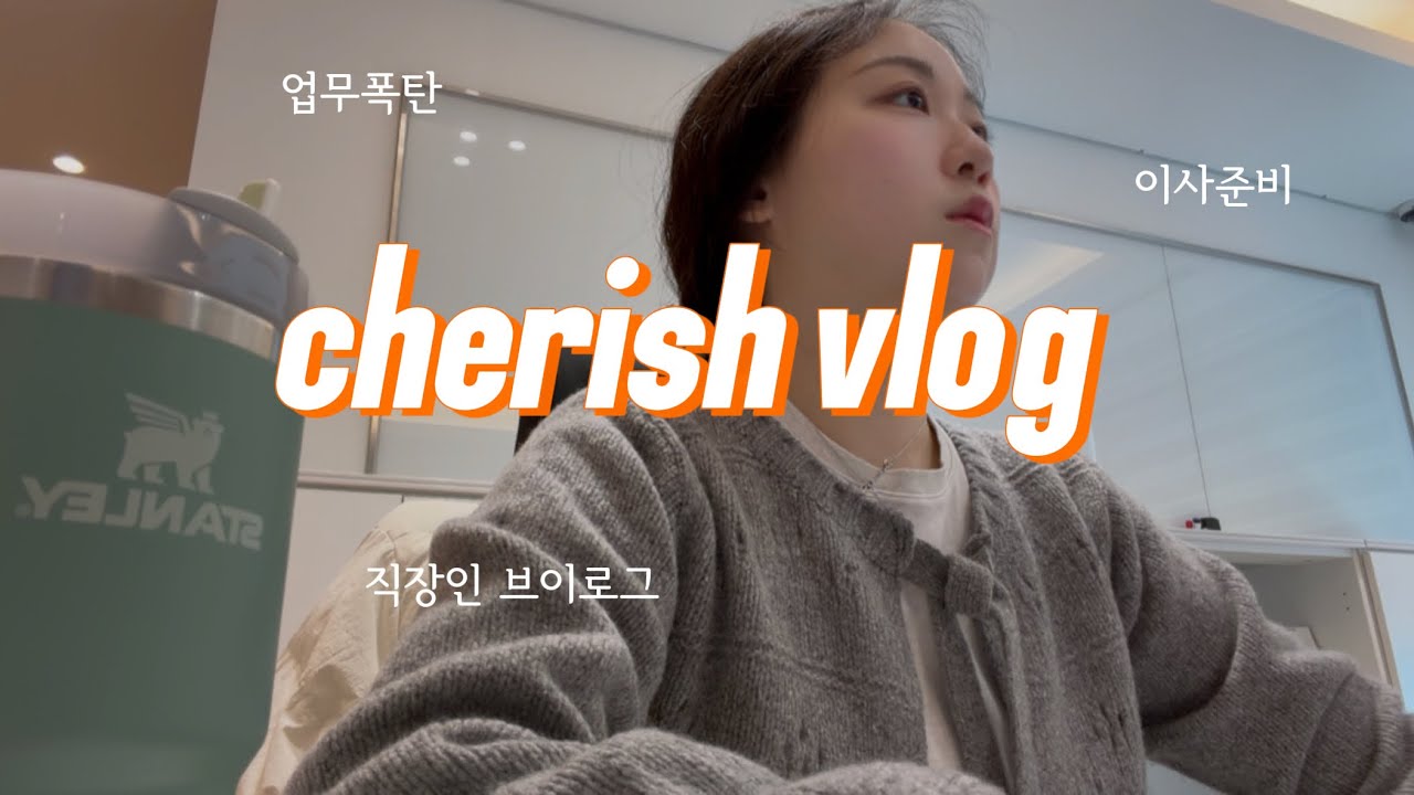 직장인브이로그 | 경영지원부 회계담당자의 마감일상 | 자취 이사준비 | 친구 많이 만나기