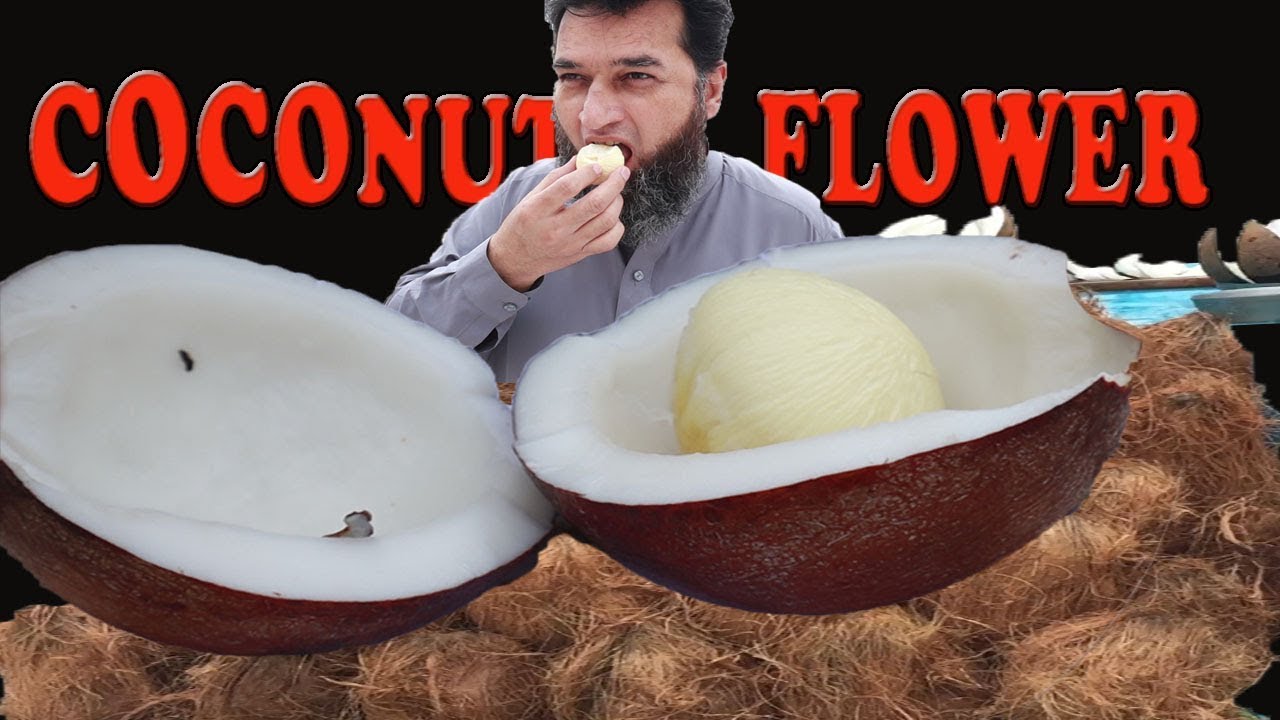 TASTING COCONUT FLOWER || STREET FOOD PESHAWAR || PAKISTAN