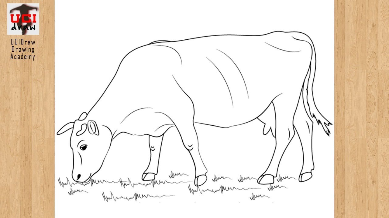 How to Draw a Cow Easy Drawing | Step by Step Cow Sketch for Beginners Art