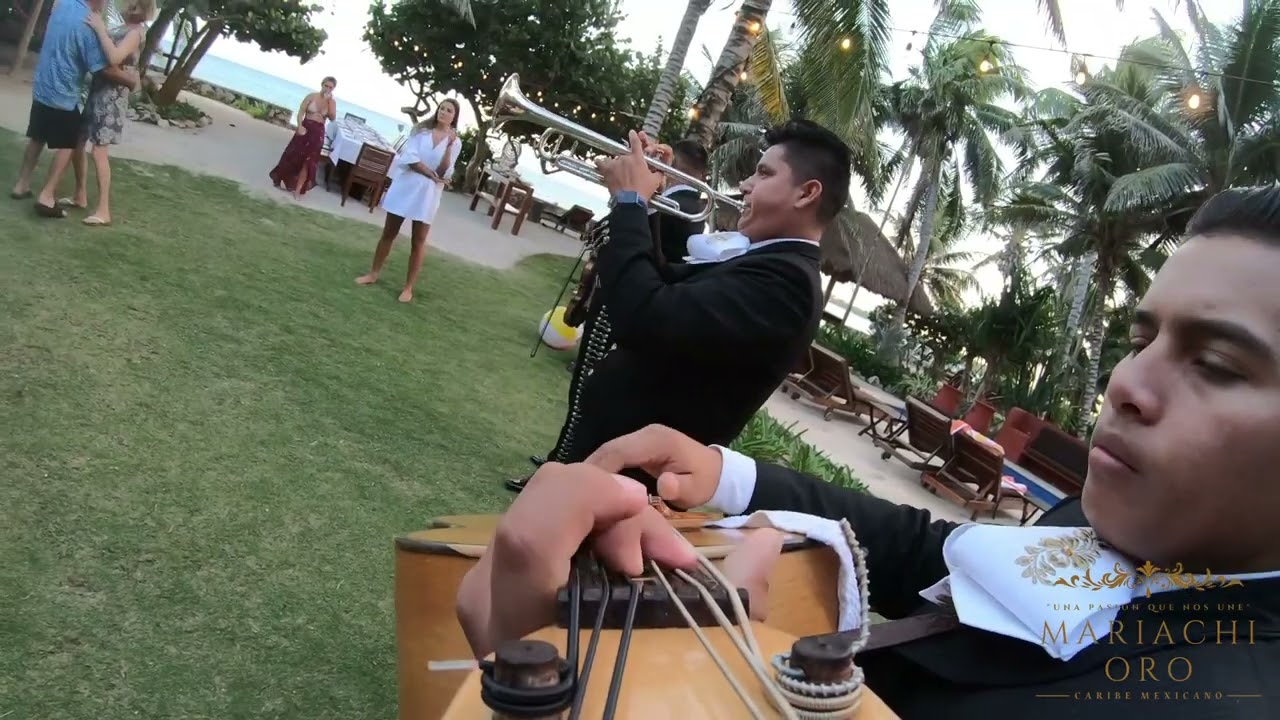 Mariachi oro del caribe mexicano - Bésame mucho