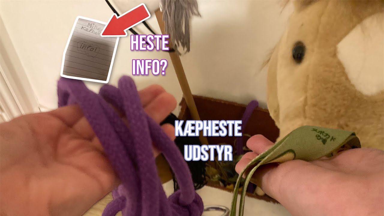 KÆPHESTE UDSTYR OG HESTE INFO🐴 #hobbyhorse