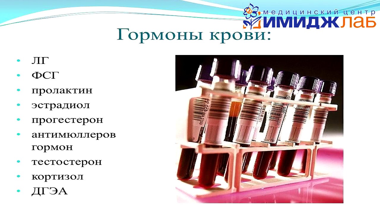 Обследование перед ЭКО