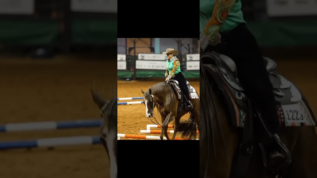 Western pleasure riding🫶 