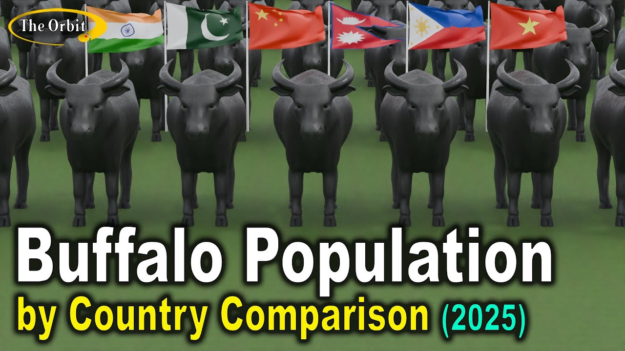 Buffalo Population by Country 2025
