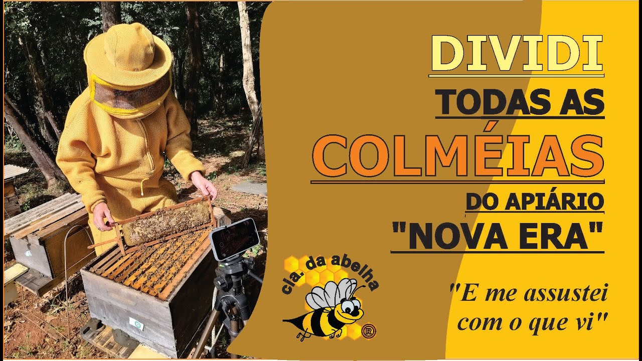 DIVIDI TODAS AS COLMÉIAS DO APIÁRIO E ME ASSUSTEI COM O QUE VI