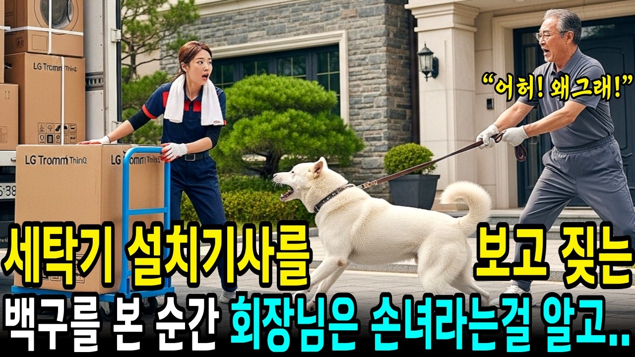 가전제품 설치기사 아가씨를 보고 미친듯이 짖는 백구를 본 순간, 대기업 백만장자회장님은 자신의 잃어버린 손녀라는걸 100% 믿는데.. | 오디오북 | 사연라디오 |