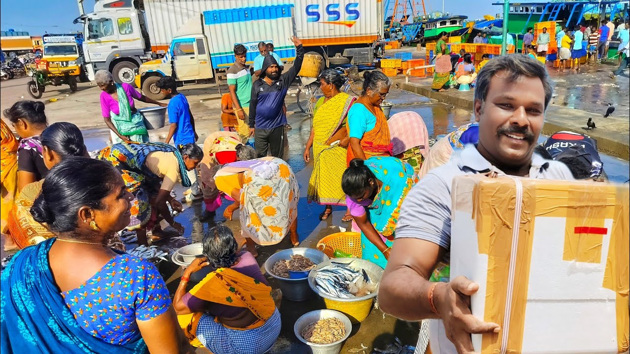 கடல் உணவை வாங்கி கிளீனிங் செய்து பேக்கிங் பண்ணி அனுப்பலாம் வாங்க.#fishing @Nagore Ashok
