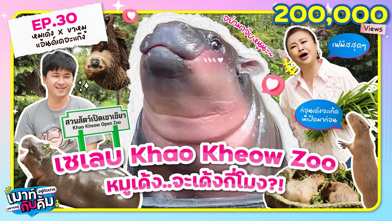 หมูเด้ง .. จะเด้งกี่โมง?! ส่องวิถีเซเลบสี่ขา | เมาท์อยู่กับปากอยากอยู่กับคิ้ม EP.30 | Moo Deng