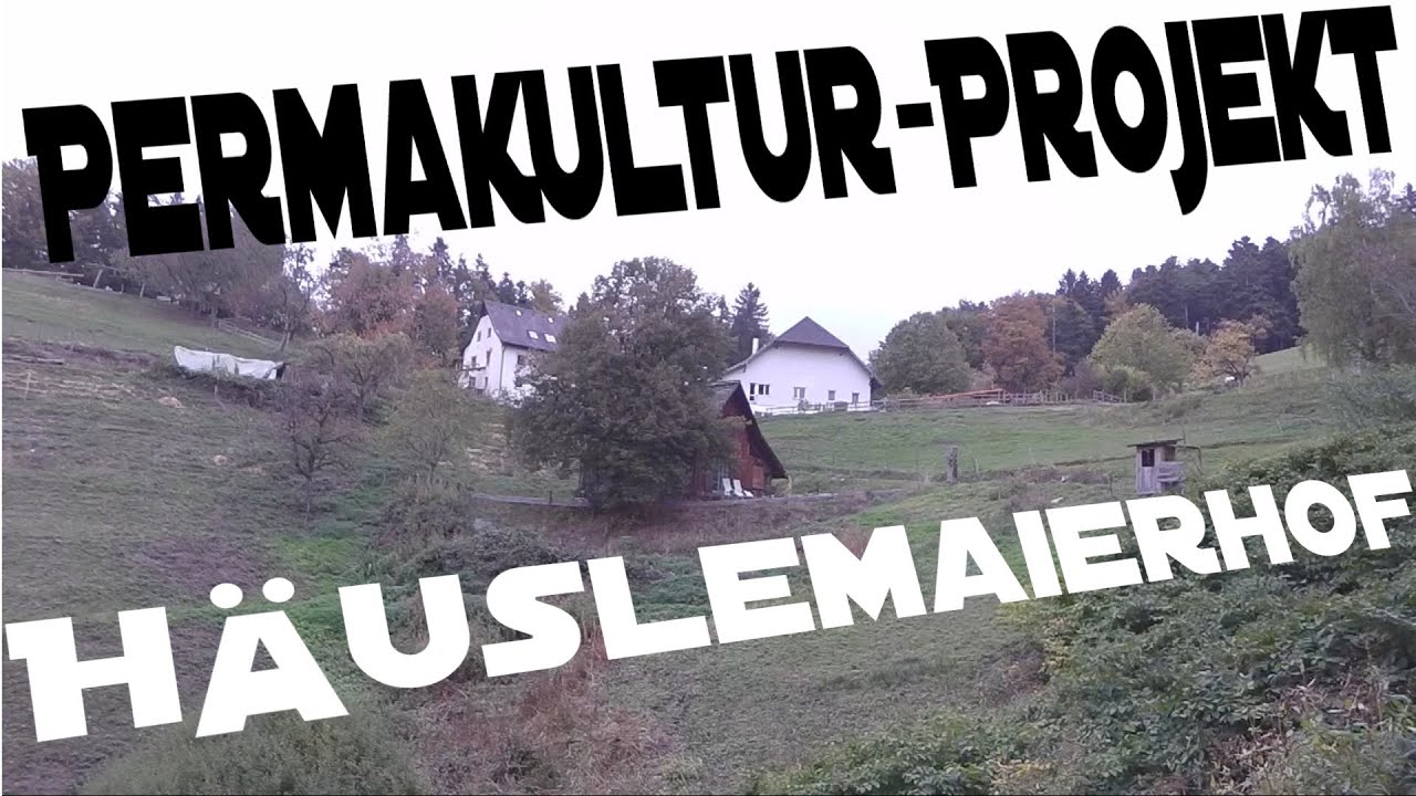 Permakultur-Projekt 