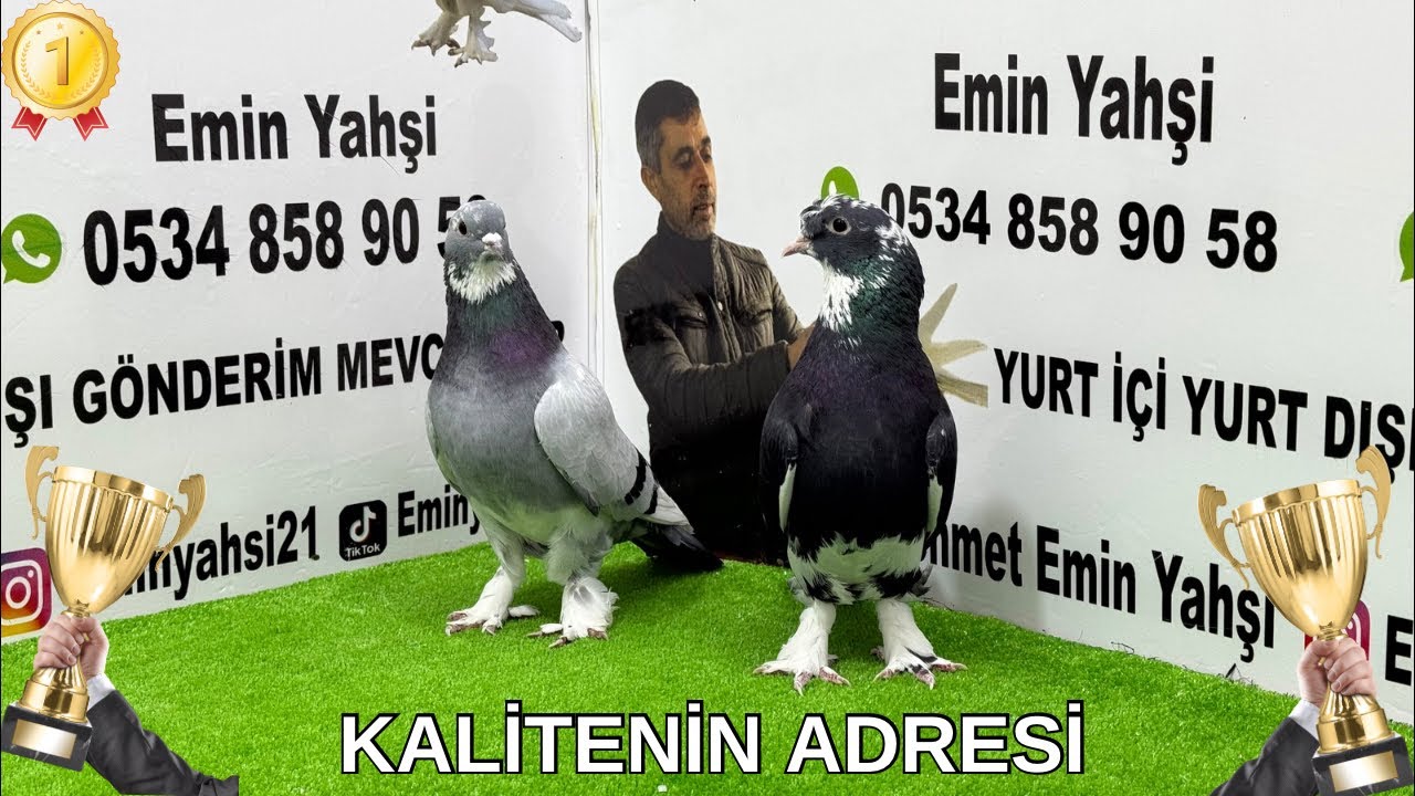 Emin Yahşi Canlı Mezat kanalı canlı yayında