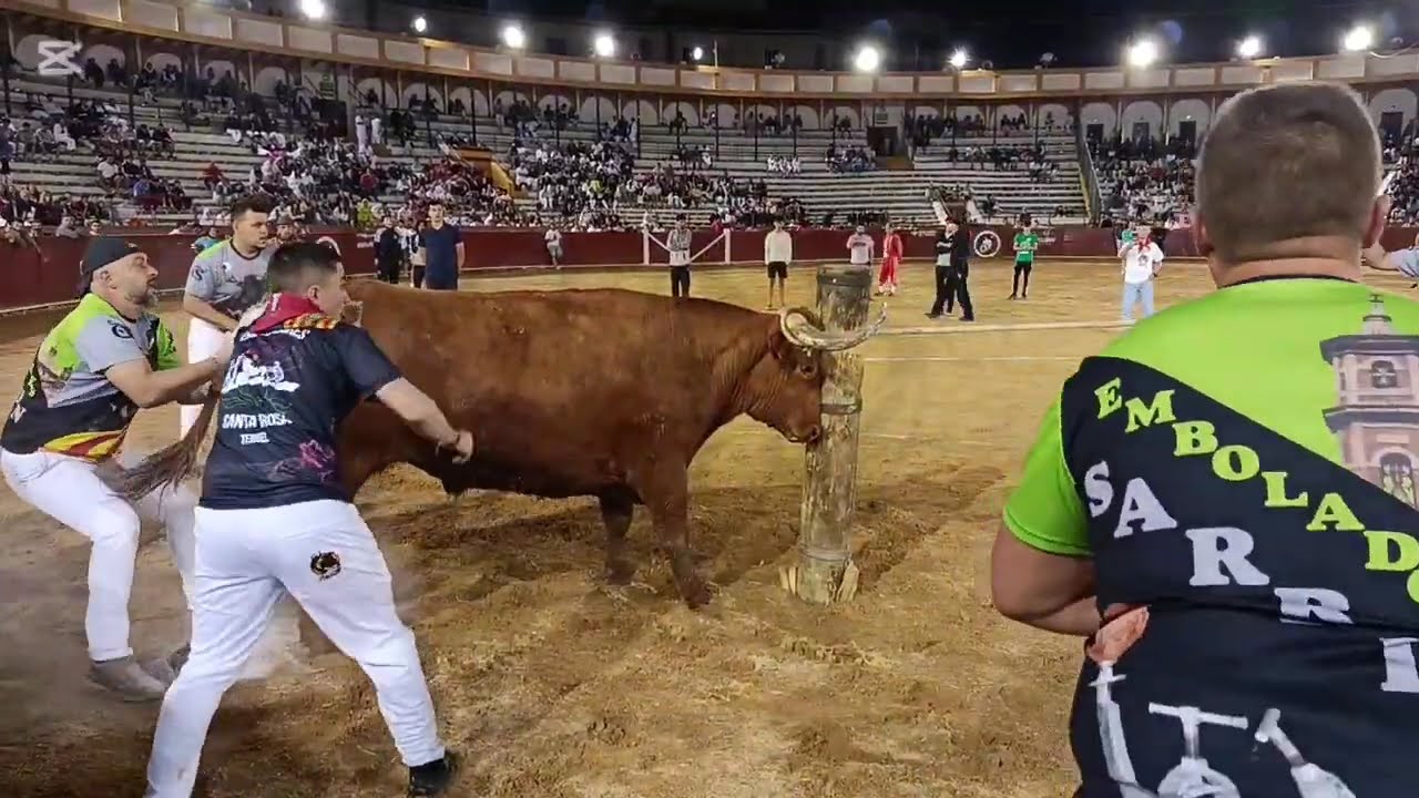 Concurso de Emboladores con Capones de Arriazu en Teruel