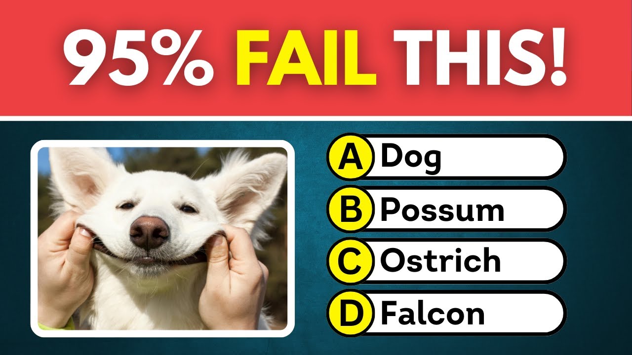 Animal IQ Test 🧠 | Ultimate Animals Trivia Quiz