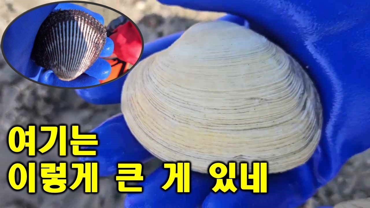 여기는 이렇게 큰 게 있네
