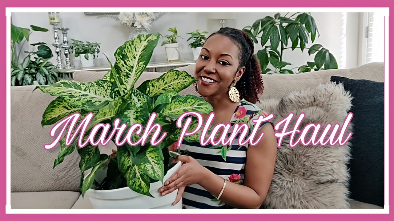 I bought SOOO many Plants!🌿 || Massive March Plant Haul 2020 || Kreatyve Laydiiee