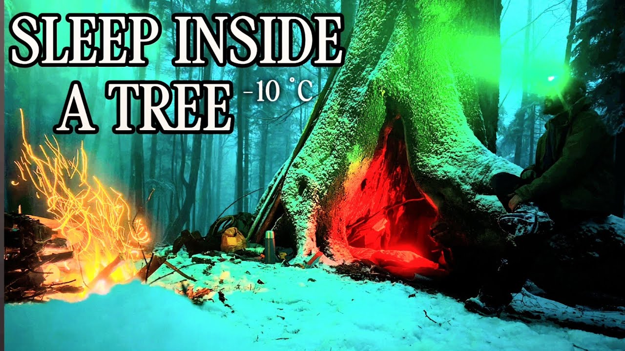 Sleeping Inside a Giant Hollow Tree at -10°C | Winter Survival & Forest Cooking (No Talking)