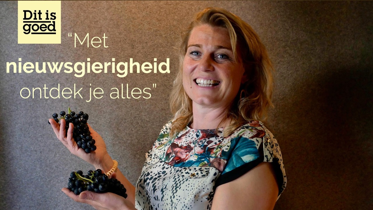 Waarom Nederlandse wijngaarden vol staan met déze druiven
