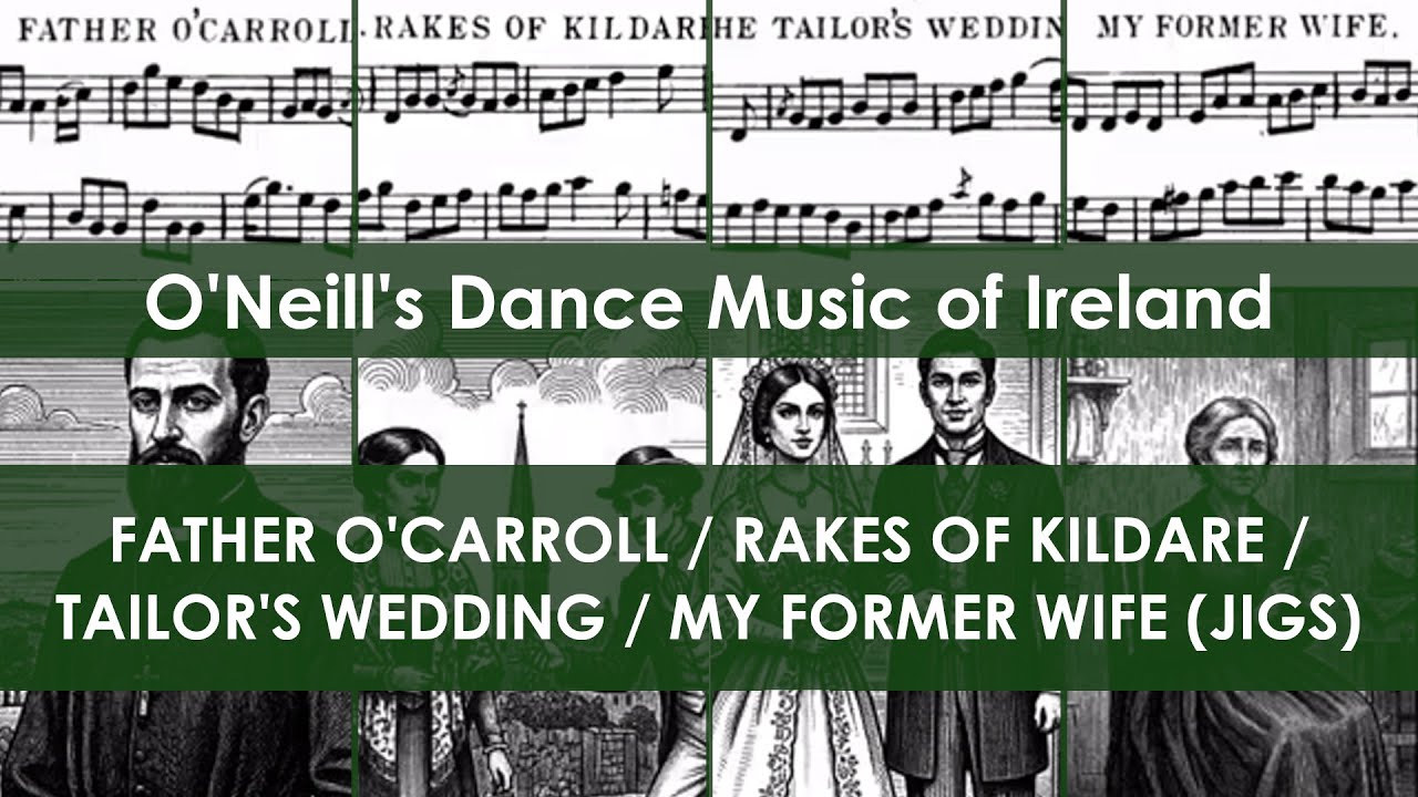 DMOI107-110 Father O'Carroll/Rakes of Kildare/Tailor's Wedding/My Former Wife (Jigs on tenor banjo)