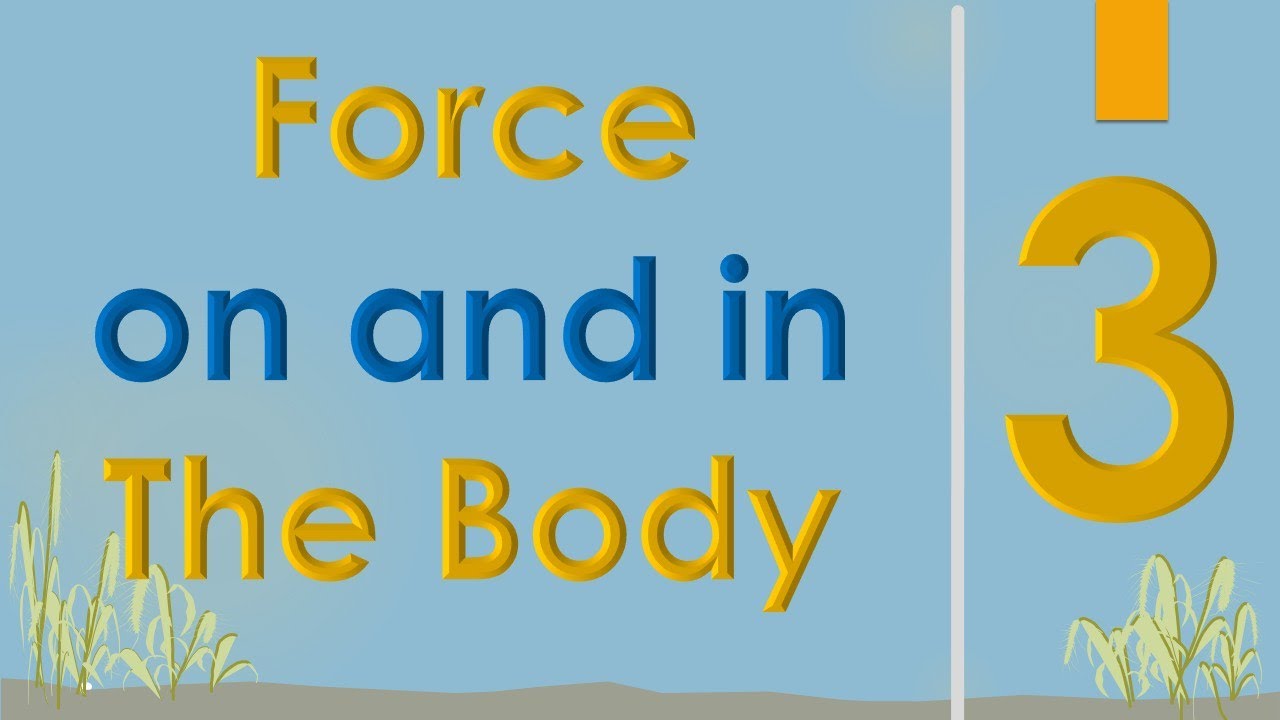 Forces affecting The Human Body (3/3) || Medical Physics || سنة أولى طب || M000 || [20/20]