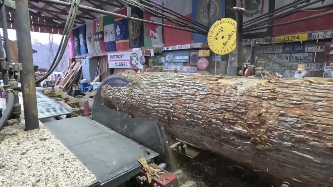 A walk around of our new Eastonmade 22- 28 log splitter and sawing two cucumber logs # 680