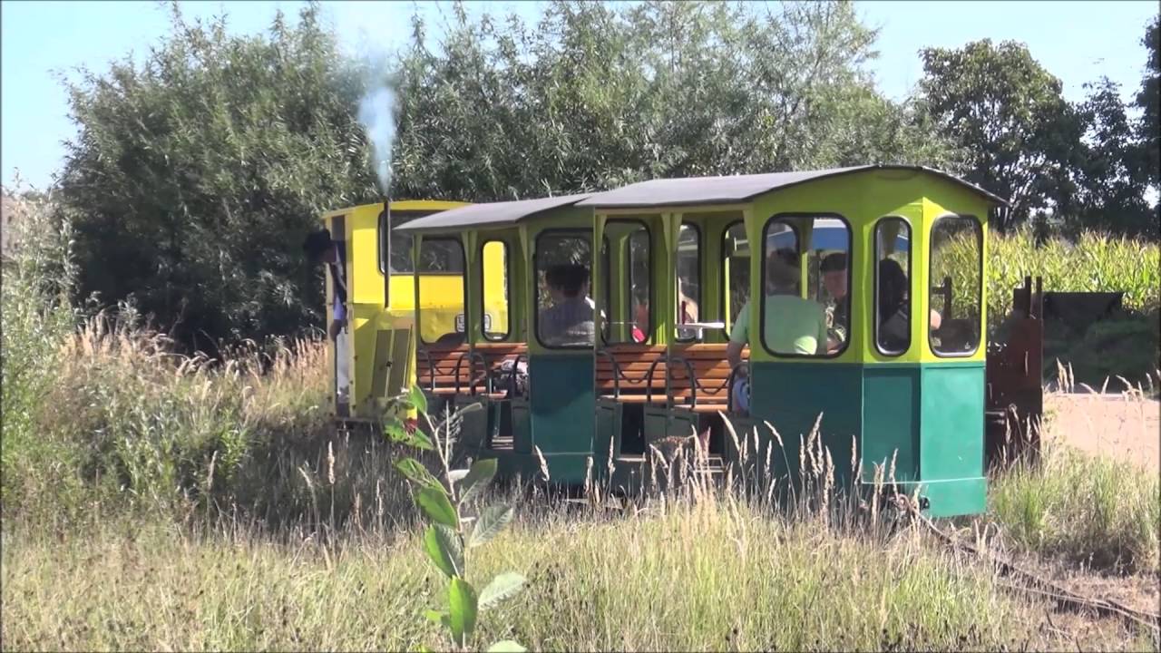 GSS - Geldersche Smalspoor Stichting in Heteren / Op veldspoor door de uiterwaard (2016)