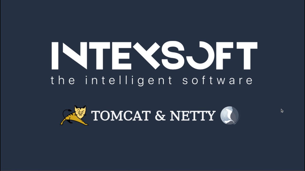 [Smart4] [M.Matusevich] Tomcat & Netty