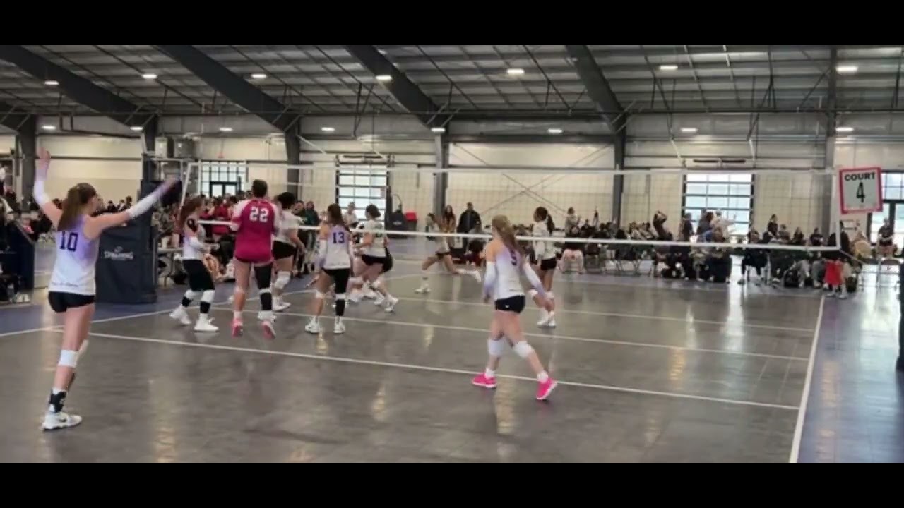 Leticia Petry highlights volleyball 