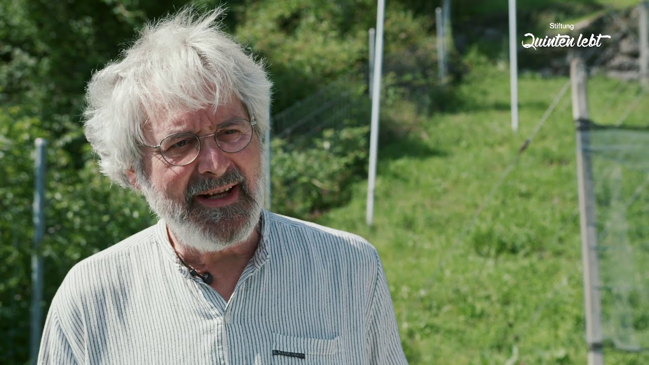 QUINTEN LEBT: Ganzes Projekt