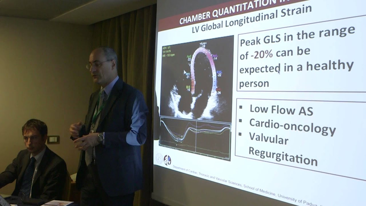 Analisi quantitativa e refertazione dell'ecocardiogramma - linee guida ASE/EACVI 2015 - Parte 1