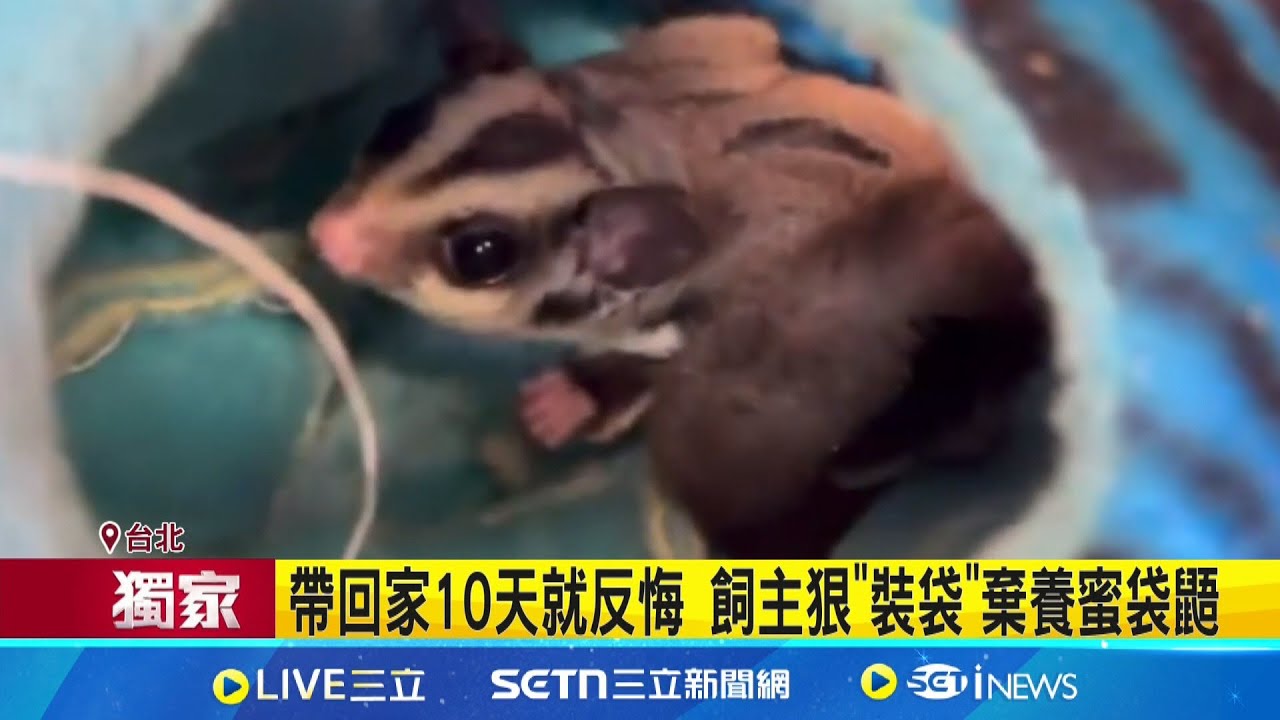 帶回家10天就反悔 飼主狠