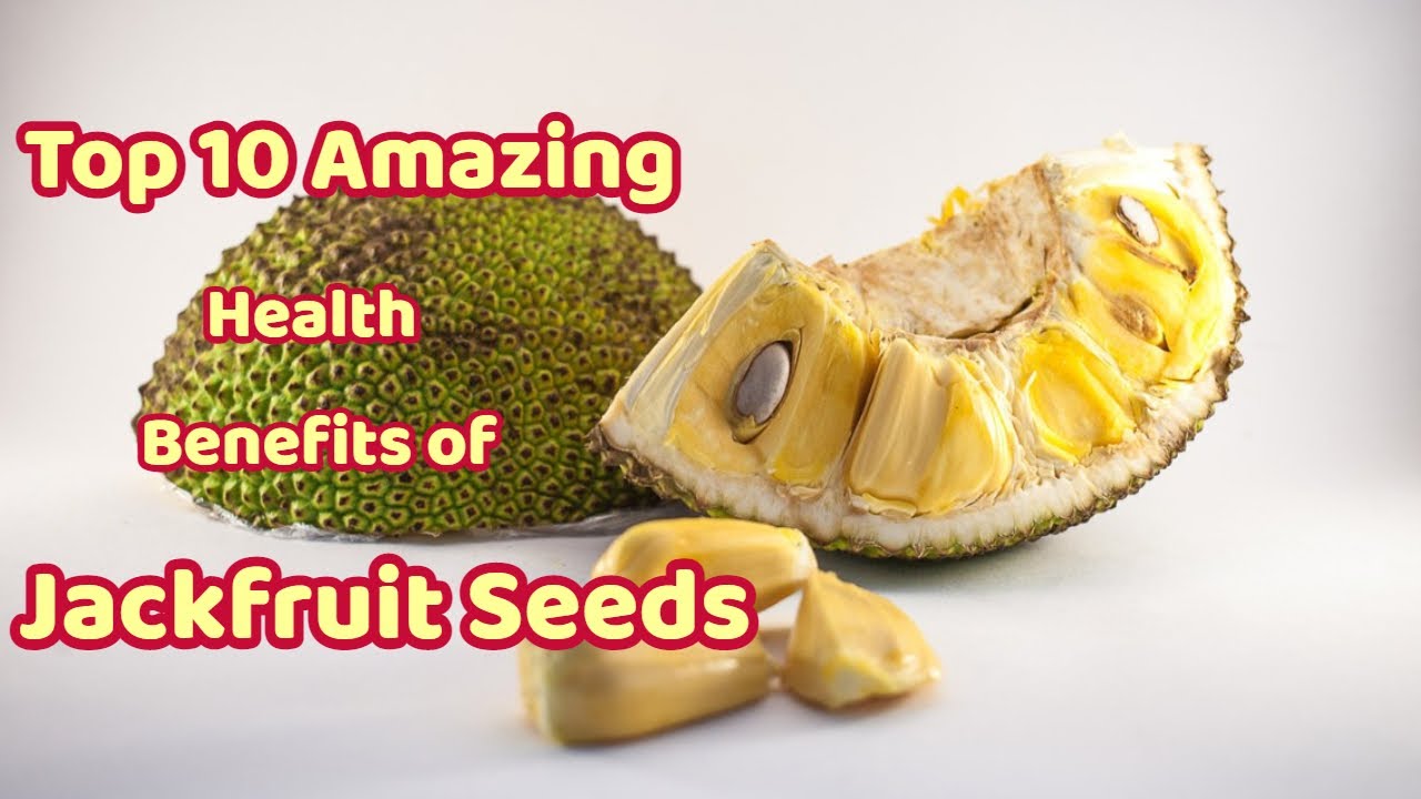 Top 10  Surprising Health Benefits of Jackfruit Seeds | Health Tips | Sky world