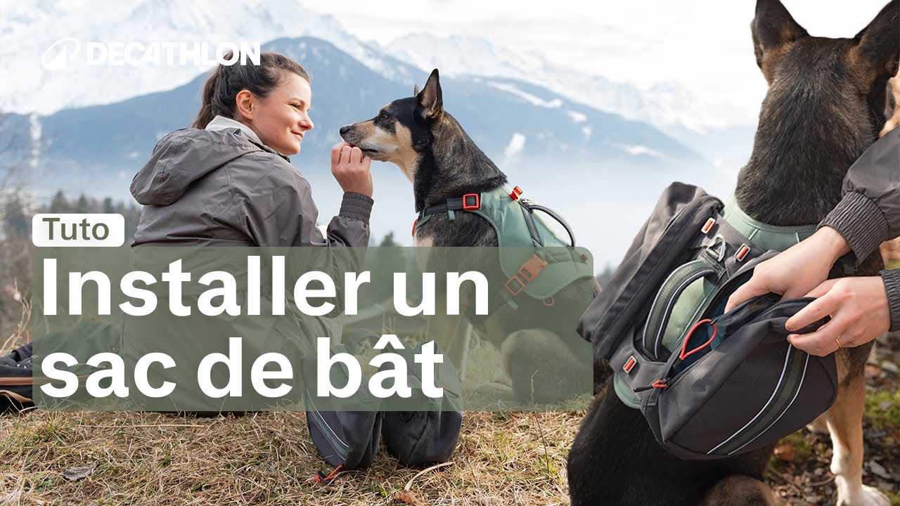 TUTO - Harnais : Comment installer et régler le harnais sac à dos de son chien ? 🐶 | Decathlon