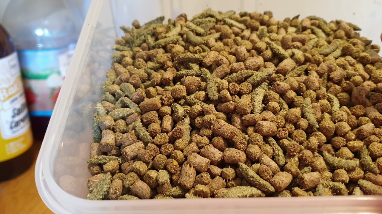Hamster food Review - Cunipic Alpha Pro