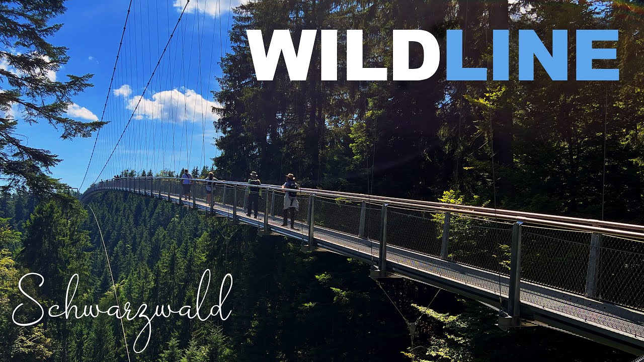WILDLINE Hängebrücke in Bad Wildbad im Schwarzwald 2023 | Xscaped
