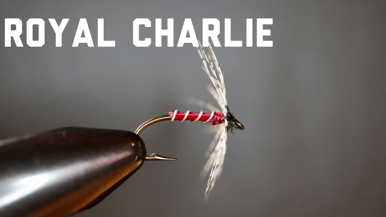 Royal Charlie (Spider Pattern) - North Country Flies - Yorkshire Spider